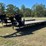 #21-•-#119-•-bigtex-gooseneck-14gn-trailer-gvwr-12,000-image-1