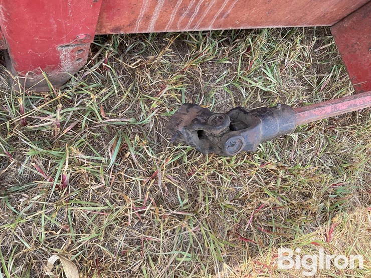 international-863-image-12