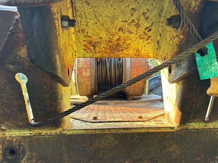 tree-farmer-c6d-image-13