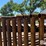 24'-freestanding-livestock-panels-w/gate-image-19