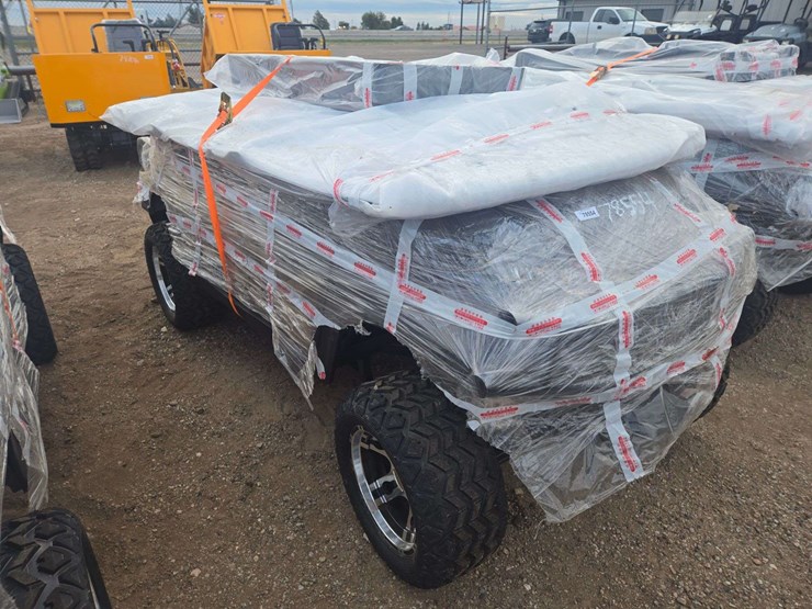 2025-sdlgc80-golf-cart-image-4