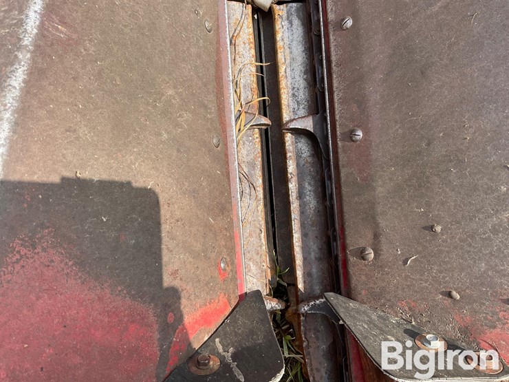 international-863-image-17