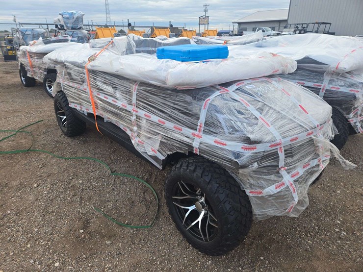 2025-sdlgc100-golf-cart-image-4