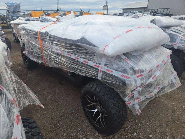 2025-sdlgc100-golf-cart-image-4