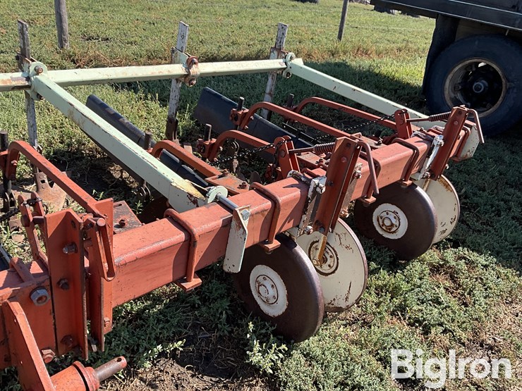 international-170-image-10