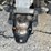 #1381-•-2005-honda-atv-with-snow-plow-(has-registration)-(of)-image-41