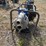#185-•-pacific-hydrostar-212-cc-gas-powered-trash-pump-image-3