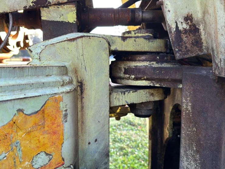 tree-farmer-c6d-image-18