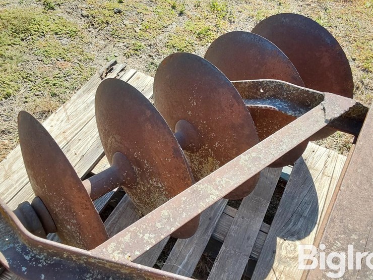 international-5-image-13