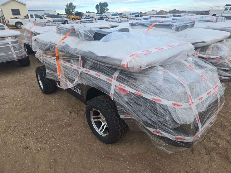 2025-sdlgc80-golf-cart-image-6