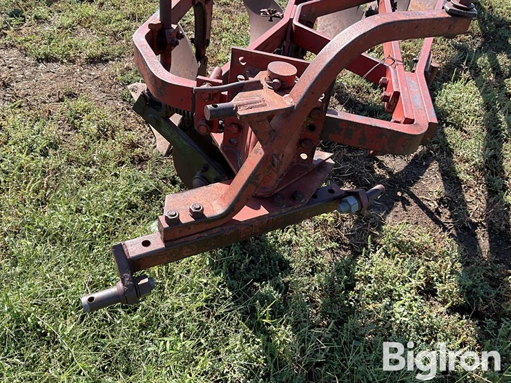 international-550-image-9