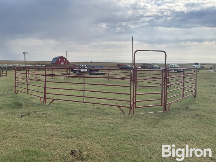 behlen-county/countyline-horse-training-pen-image-7