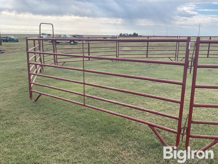 behlen-county/countyline-horse-training-pen-image-20