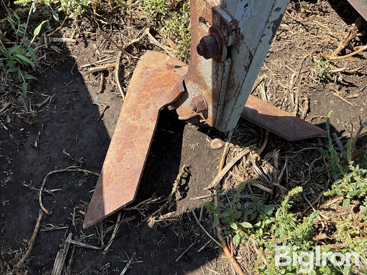 international-170-image-14