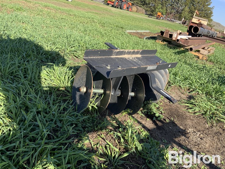 small-yard-disk-image-7