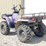 2005-polaris-sportsman-500-ho-image-6