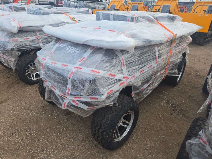 2025-sdlgc80-golf-cart-image-3