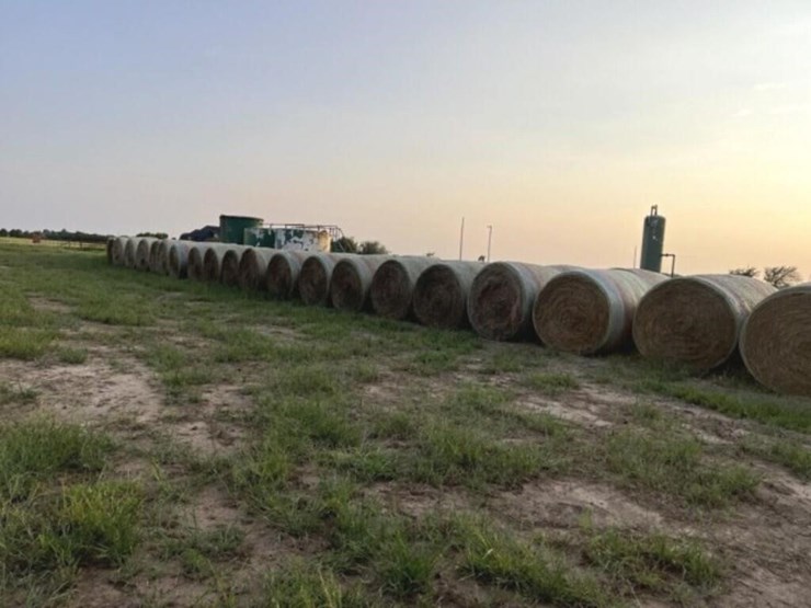 crabgrass-round-bales-image-2