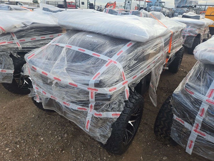 2025-sdlgc100-golf-cart-image-3