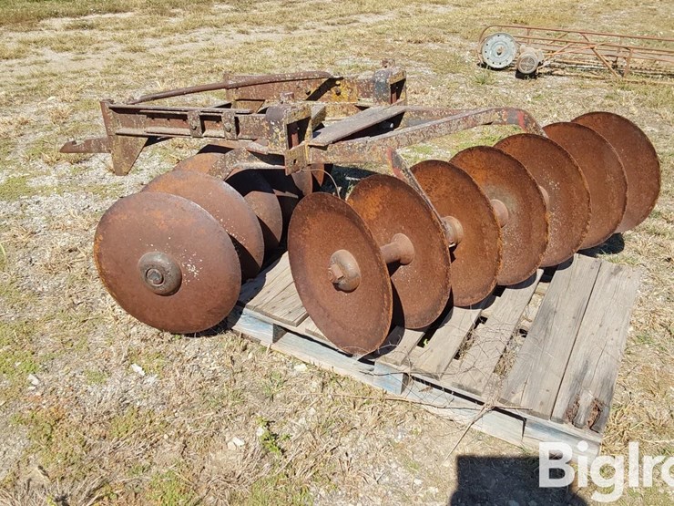 international-5-image-7