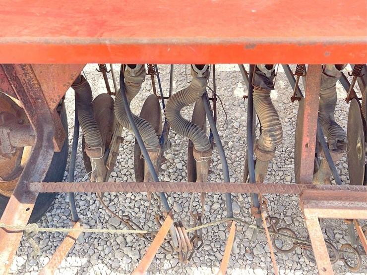 international-10-image-18