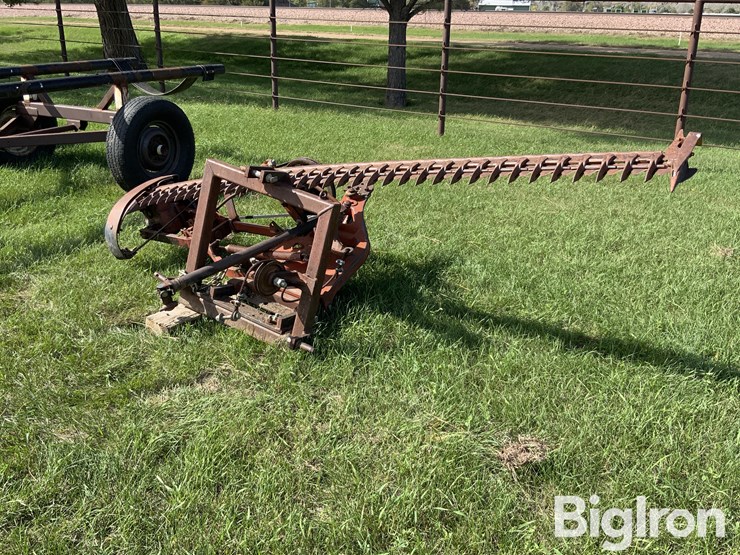 international-3-image-1