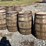 #28238-•-lot-of-(4)-whiskey-barrels-inv#-28238-image-2