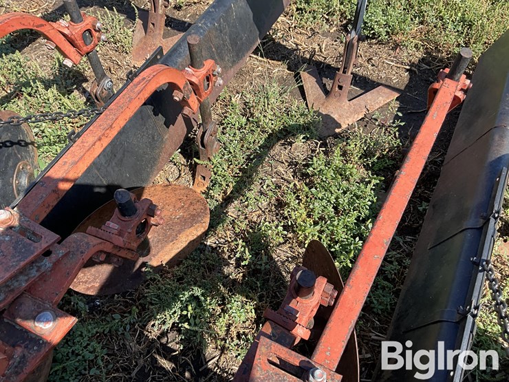 international-170-image-11