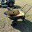wheel-barrow-image-2