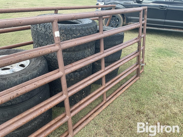 blatner-gates-image-15