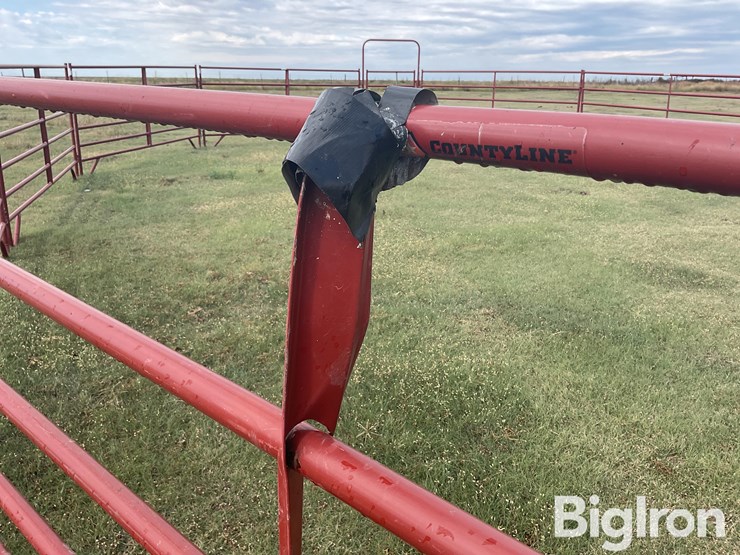 behlen-county/countyline-horse-training-pen-image-12