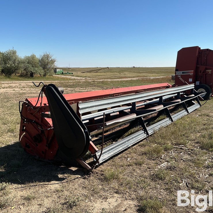 1989 CASE IH 1010