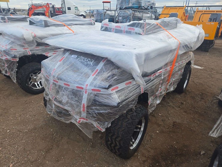 2025-sdlgc80-golf-cart-image-3