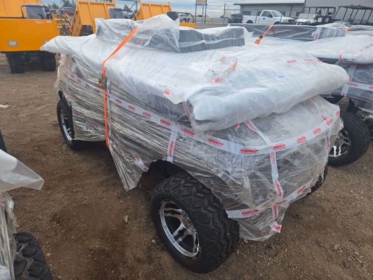 2025-sdlgc80-golf-cart-image-4