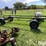 anthony-rg-2-round-bale-carrier-wagon-image-8