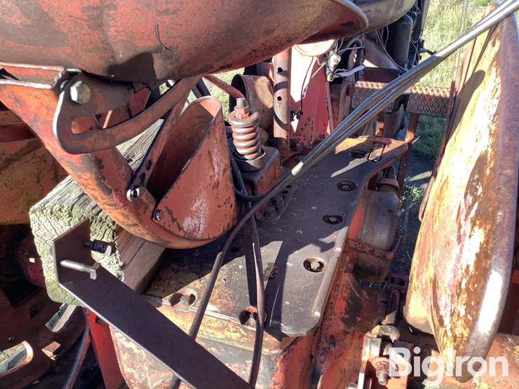 international-m-image-20