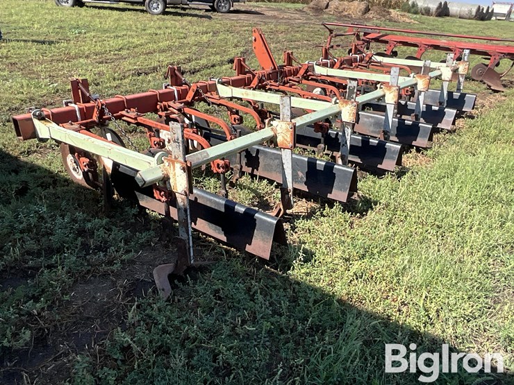 international-170-image-7