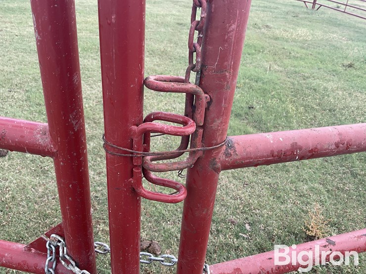 behlen-county/countyline-horse-training-pen-image-17