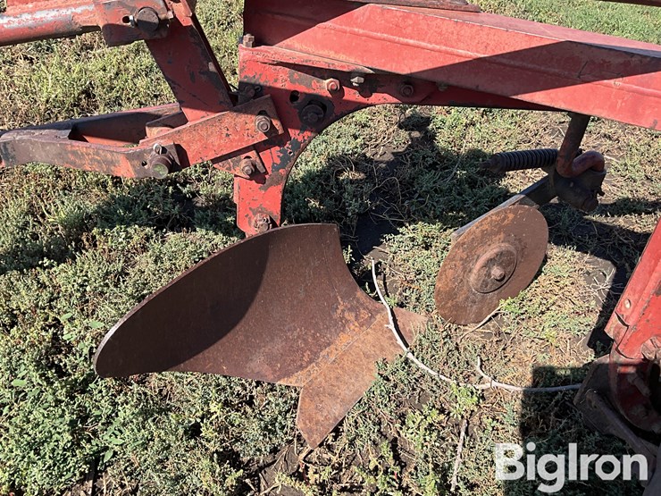 international-550-image-15