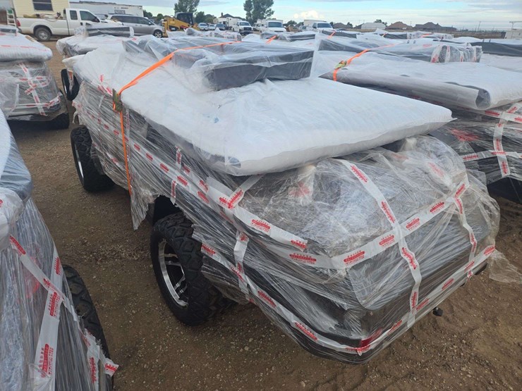 2025-sdlgc80-golf-cart-image-6