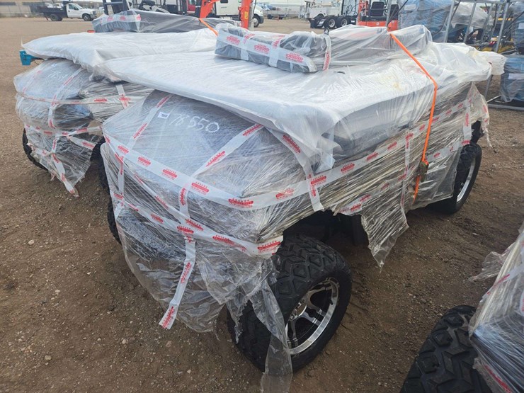 2025-sdlgc80-golf-cart-image-3