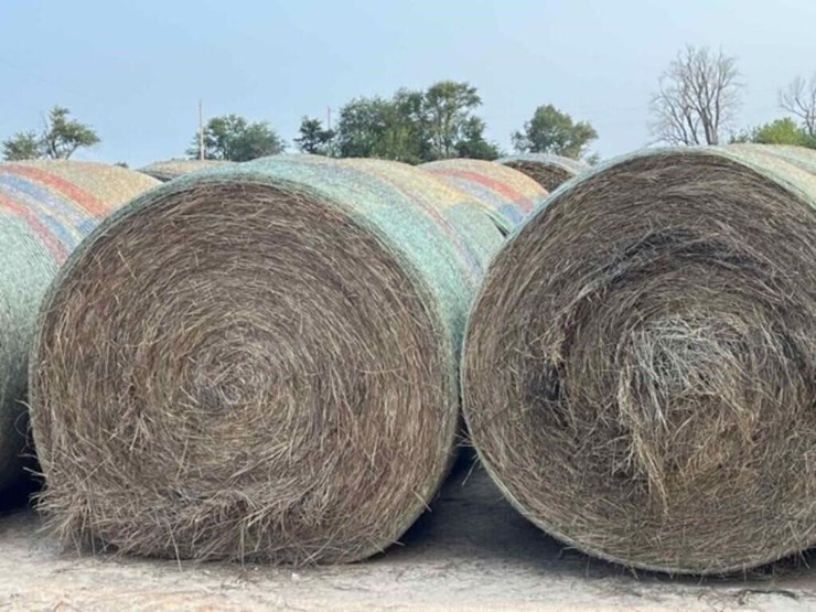 new-bermuda-spriggs-ozark-image-1