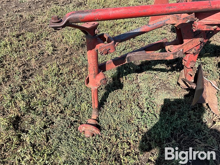 international-550-image-14