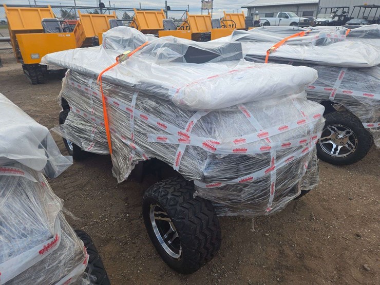 2025-sdlgc80-golf-cart-image-4