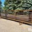 24'-freestanding-livestock-panels-w/gate-image-1