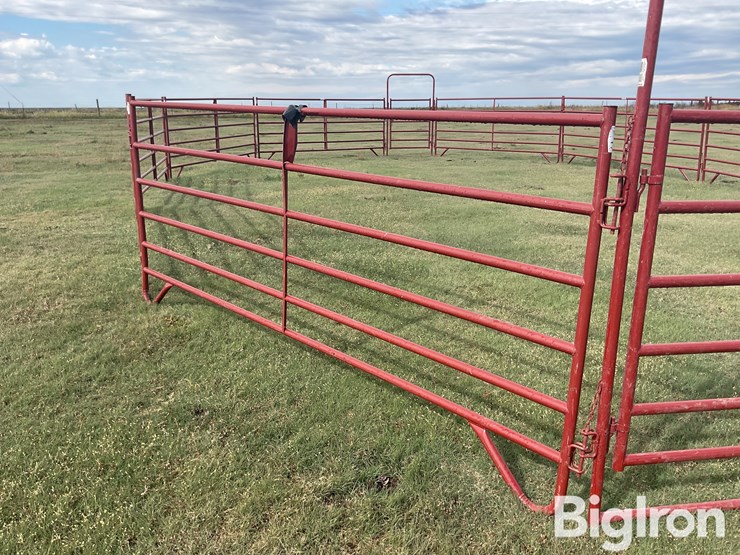 behlen-county/countyline-horse-training-pen-image-11