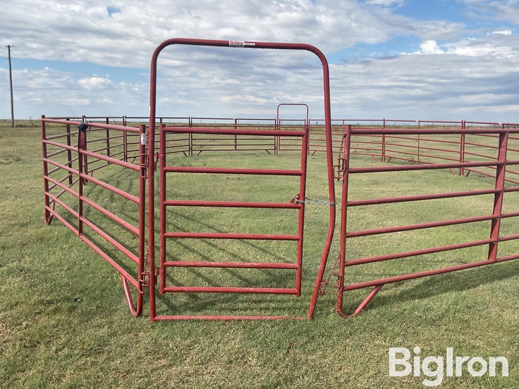 behlen-county/countyline-horse-training-pen-image-9