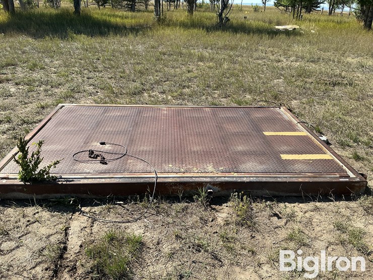 platform-scale-image-2