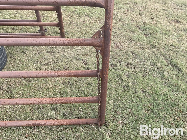 blatner-gates-image-12