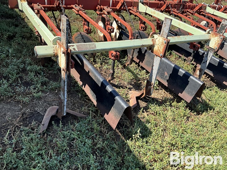 international-170-image-13